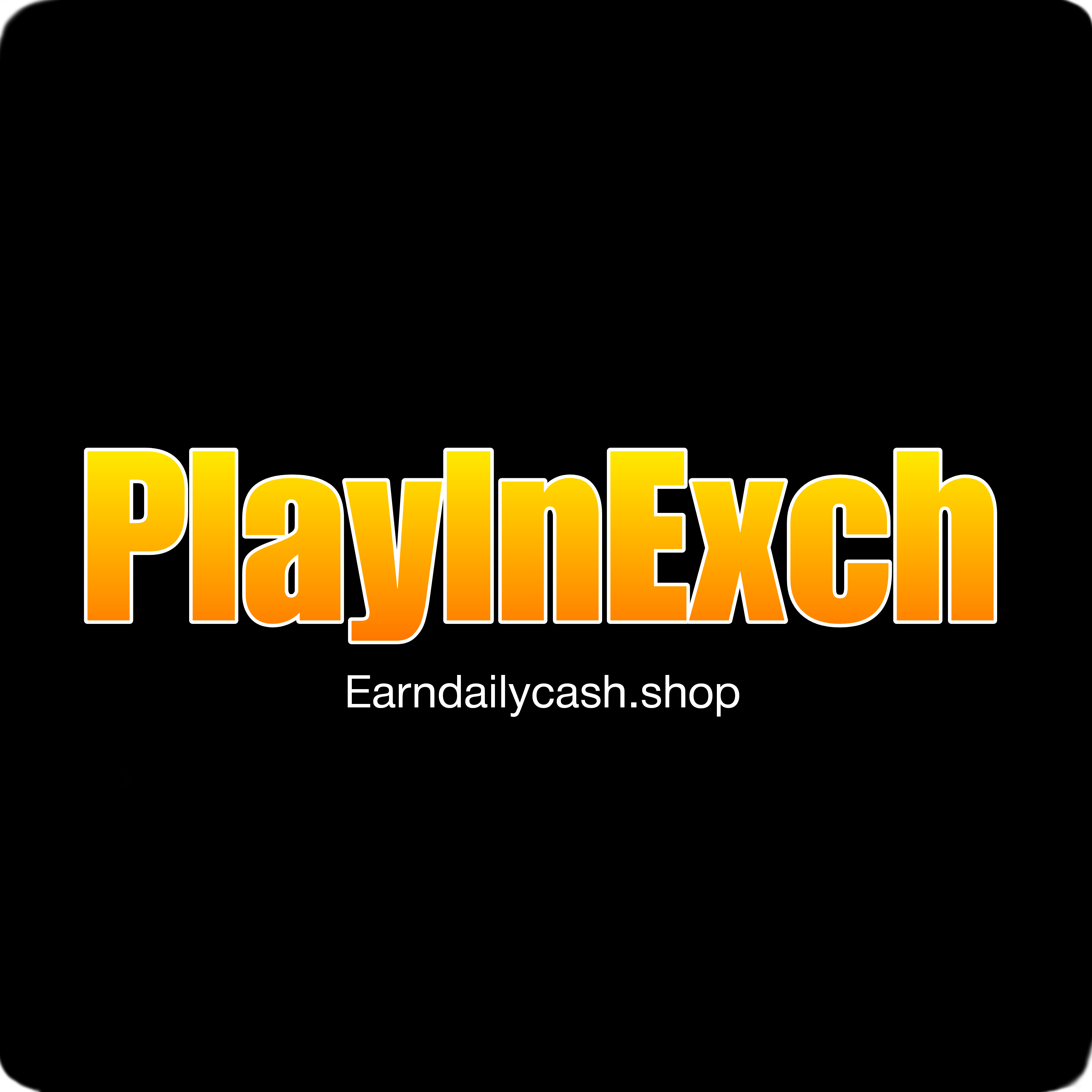 PlayInExch Logo