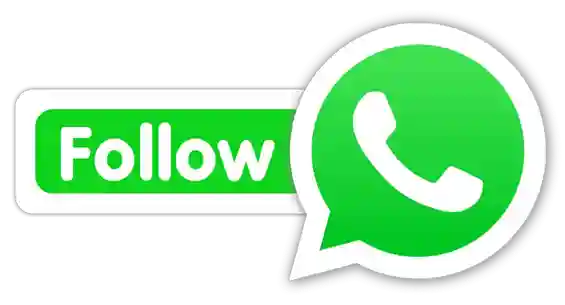 earn daily cash WhatsApp